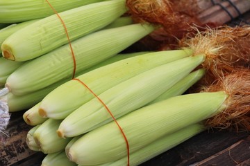 Fresh corn for cooking in the market