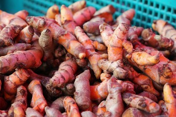 Fresh turmeric root is herb for health