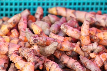 Fresh turmeric root is herb for health