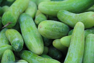 Fresh cucumbers for cooking in the market