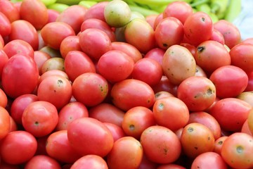 Fresh tomatoes for cooking in street food