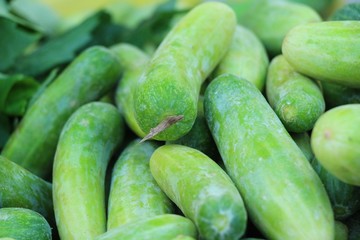 Fresh cucumbers for cooking in the market