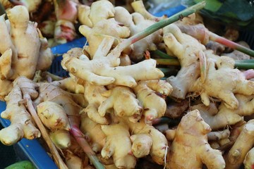 Fresh galangal for cooking in the market