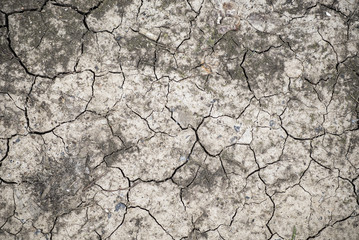 Piece of parched land, texture with cracks in the dirt, used for design and backgrounds