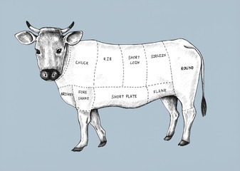 Hand drawn cut of beef