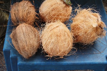 Coconut fruit is delicious at street food