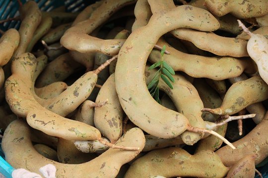 Tamarind fruit is delicious at street fruit