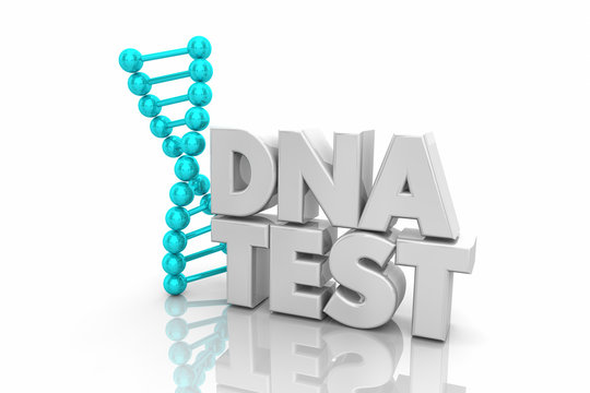 DNA Test Heredity Ancestry Genetic Word 3d Illustration