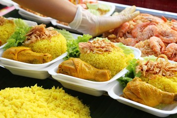 Chicken biryani with rice delicious and sauce