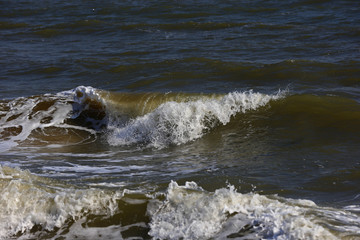 The waves of the sea