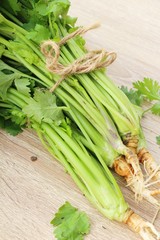 Fresh coriander for cooking on wood background