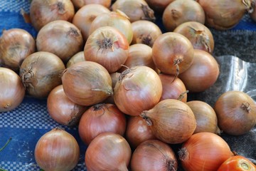 Fresh onion for cooking in the market