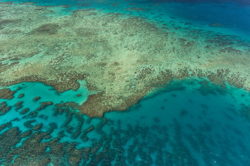 Fototapeta na wymiar Great Barrier Reef from helicopter