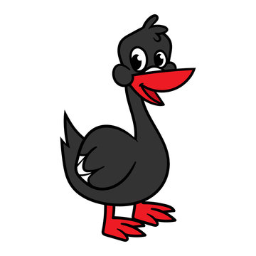 Cartoon Black Swan Illustration