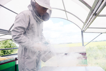 Side view portrait of young beekeeper wearing protective suit smoking bee hive while working in modern apiary, copy space