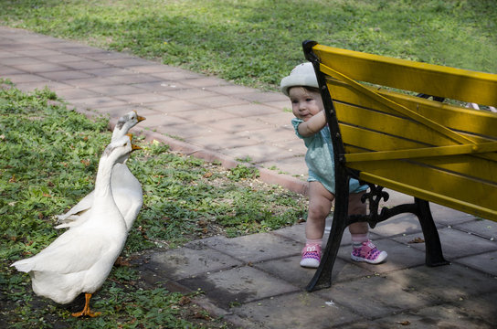 a bit scared toddler is looking at two birds with curiosity, as if playing hide and seek