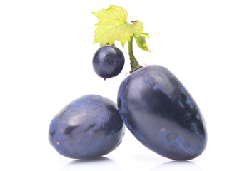 Grape fruit