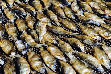 fish seafood factory