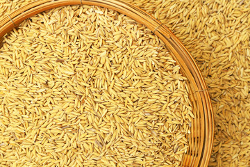 Paddy rice in bamboo basket.