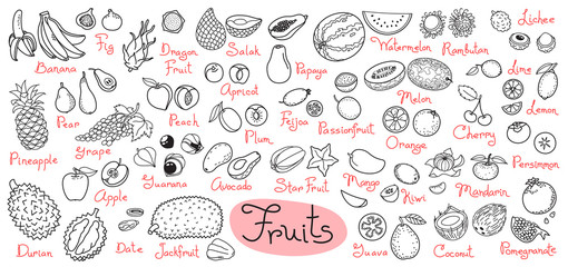 Set drawings of fruits for design menus, recipes and packages product. Vector Illustration