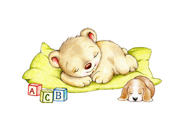 Sleeping Teddy bear and puppy