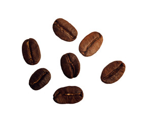 Grains of coffee on white background, close-up.