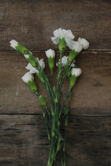 Bunch White Carnation Flower Bouquet Arrangement composition Isolated Rustic Wooden Background