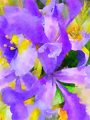 A group Of purple iris