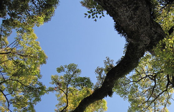 649 Bilder Durchsuchen 474 Archivfotos, und Videos