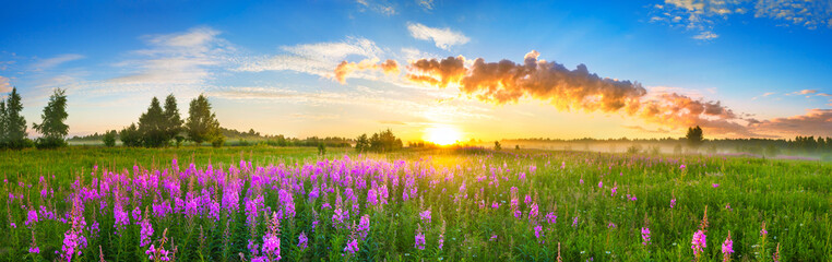 Naklejka premium panorama krajobrazu wiejskiego z wschodem słońca i kwitnąca łąka