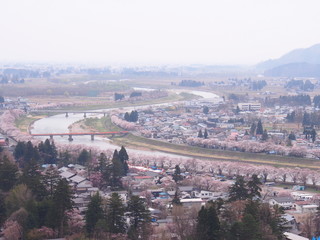 角館　桧木内川桜並木