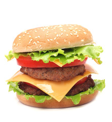  Juicy appetizing hamburger