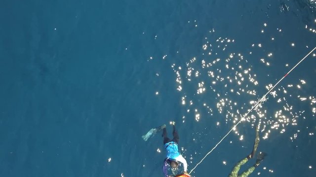 People practicing freediving, aerial view.