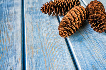 wooden old lining surface of painted blue wood  pine boards and fir cones on it - Powered by Adobe