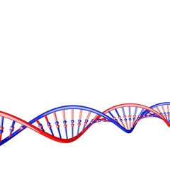 DNA strand. Isolated on white background.Cartoon style.