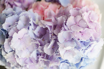 beautiful hydrangea flowers in a vase on a table . Bouquet of light blue, lilac and pink flower. Decoration of home. Wallpaper and background