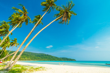 Beautiful nature tropical beach and sea with coconut palm tree on paradise island