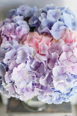 beautiful hydrangea flowers in a vase on a table . Bouquet of light blue, lilac and pink flower. Decoration of home. Wallpaper and background. Vertical photo