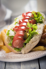 Classic american hot dog