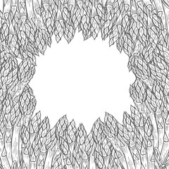 illustrations - asparagus collection.