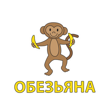 Cartoon Monkey Flashcard for Children