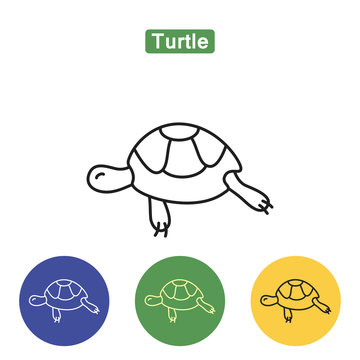 Turtle line icon