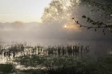 Sunrise on a Lake in Springtime