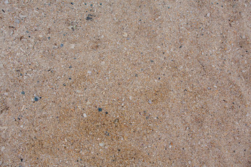 Sea shell and stone pieces texture