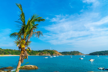 Beautiful tropical beach and sea with coconut palm tree in paradise island