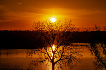 Nature being Observed