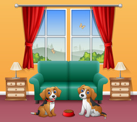 Cute two dogs sitting in the living room