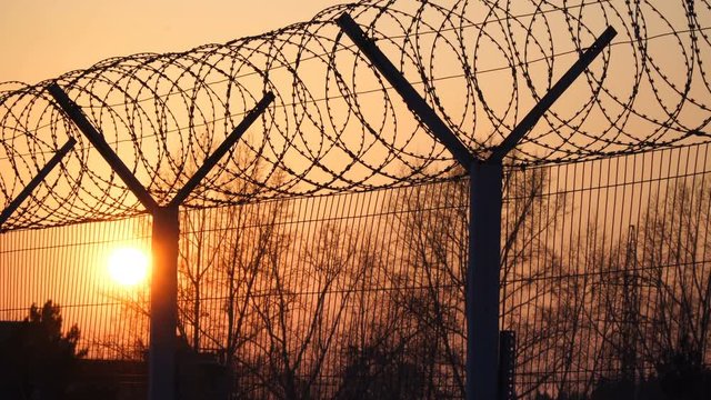 Prison barbed wire fence at sunset. Bright sun and trees silhouette freedom 4k