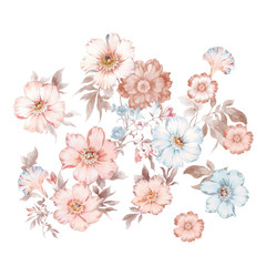 Watercolor floral collection