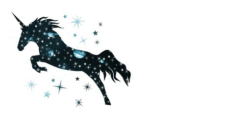 Unicorn silhouette with galaxy universe © vectorfusionart